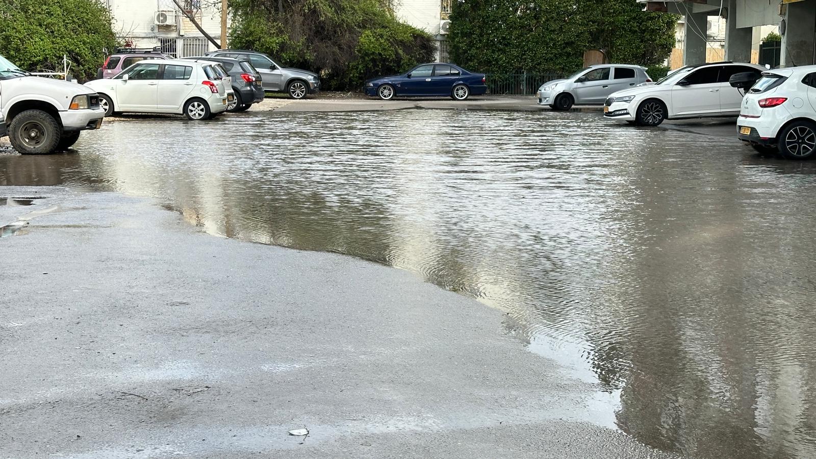 WhatsApp Image 2024-01-30 at 19.11.08 (1).jpeg